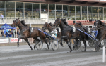 Bild från travets värld