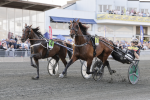 Bild från travets värld