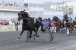 Bild från travets värld