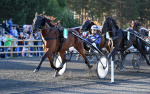Bild från travets värld