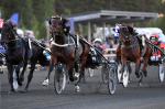 Bild från travets värld