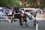 Bild från travets värld