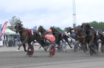 Bild från travets värld