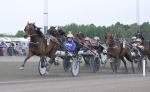 Bild från travets värld