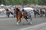 Bild från travets värld