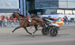 Bild från travets värld