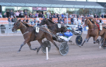 Bild från travets värld