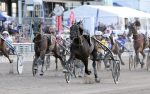 Bild från travets värld