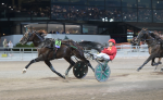 Bild från travets värld