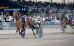 Bild från travets värld