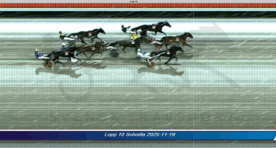 Bild från travets värld