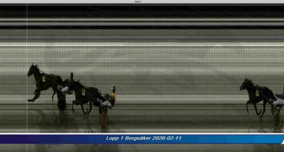 Bild från travets värld