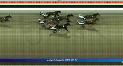 Bild från travets värld