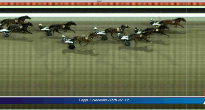 Bild från travets värld