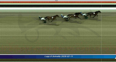 Bild från travets värld