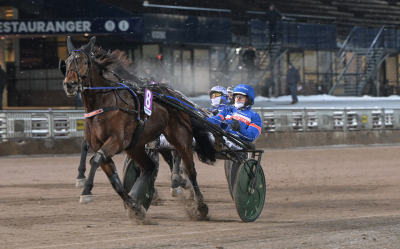 Bild från travets värld