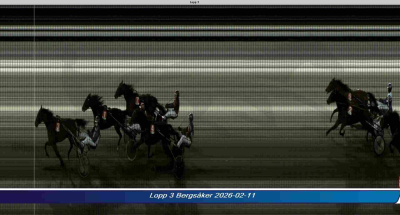 Bild från travets värld