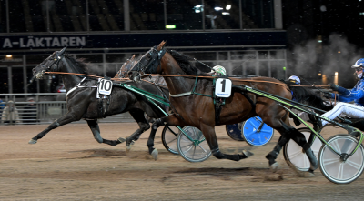 Bild från travets värld