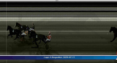 Bild från travets värld