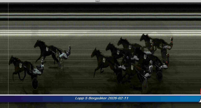 Bild från travets värld