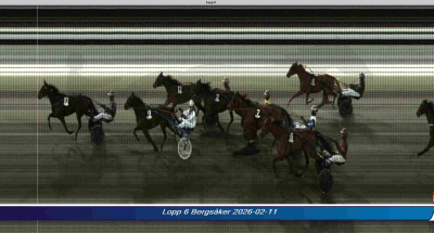 Bild från travets värld