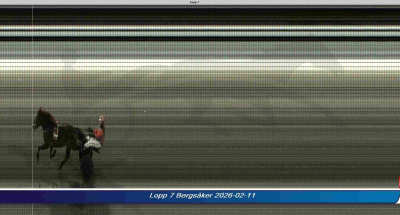 Bild från travets värld