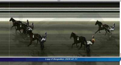 Bild från travets värld