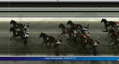 Bild från travets värld