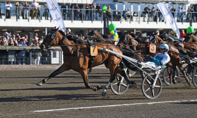 Bild från travets värld