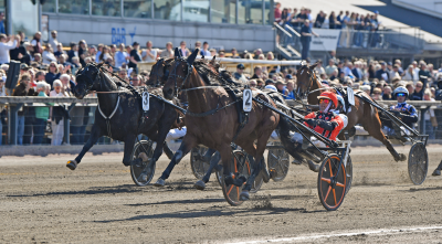 Bild från travets värld