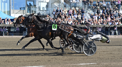 Bild från travets värld