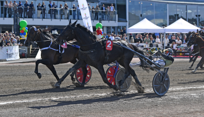 Bild från travets värld