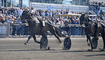 Bild från travets värld