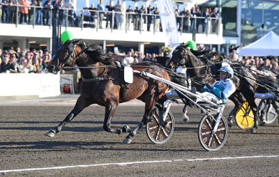 Bild från travets värld