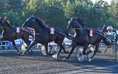 Bild från travets värld