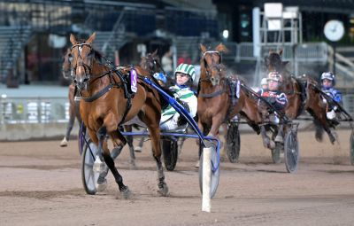 Bild från travets värld