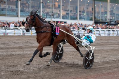 Bild från travets värld