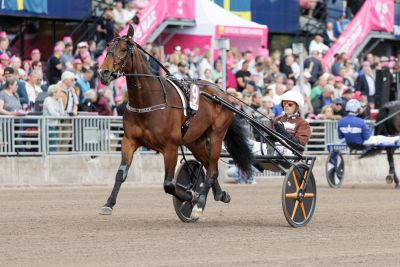 Bild från travets värld