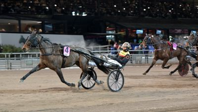 Bild från travets värld