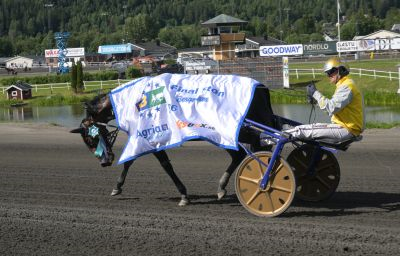 Bild från travets värld