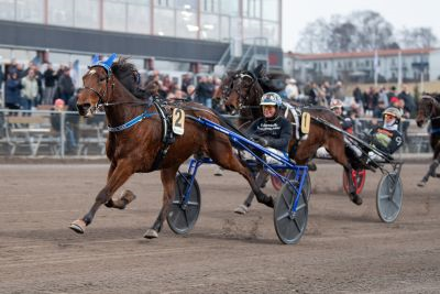 Bild från travets värld