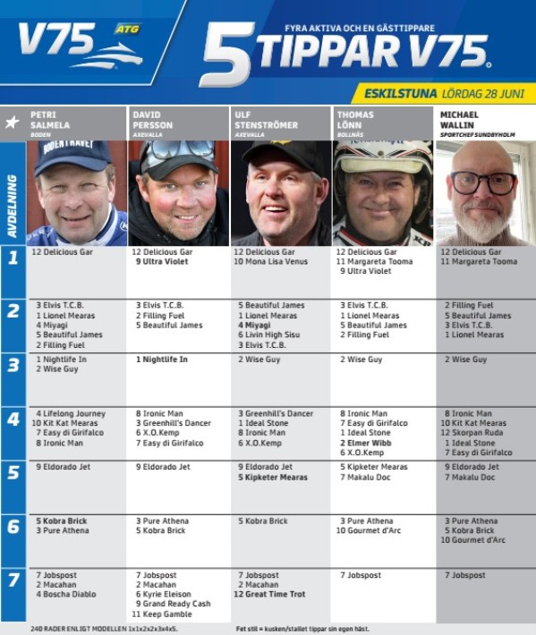 Fem tippar V75