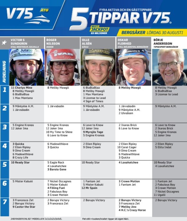 Fem tippar V75